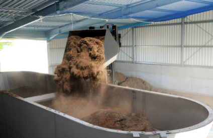 Biomassa gerou 54,4 mil GWh em 2018; 51,3% foram consumidos pelos próprios geradores