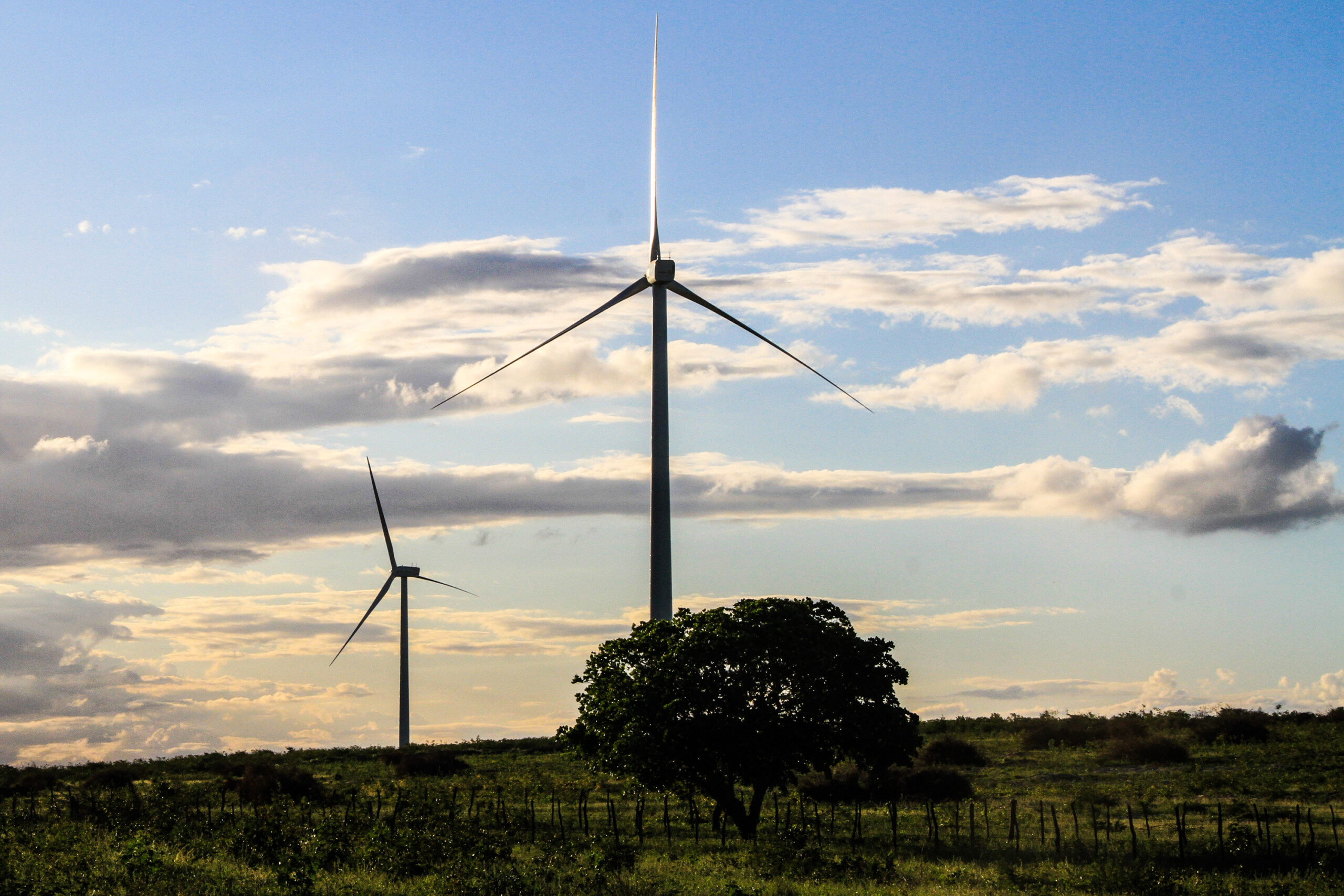 Geradores alertam para riscos elevados relacionados ao curtailment