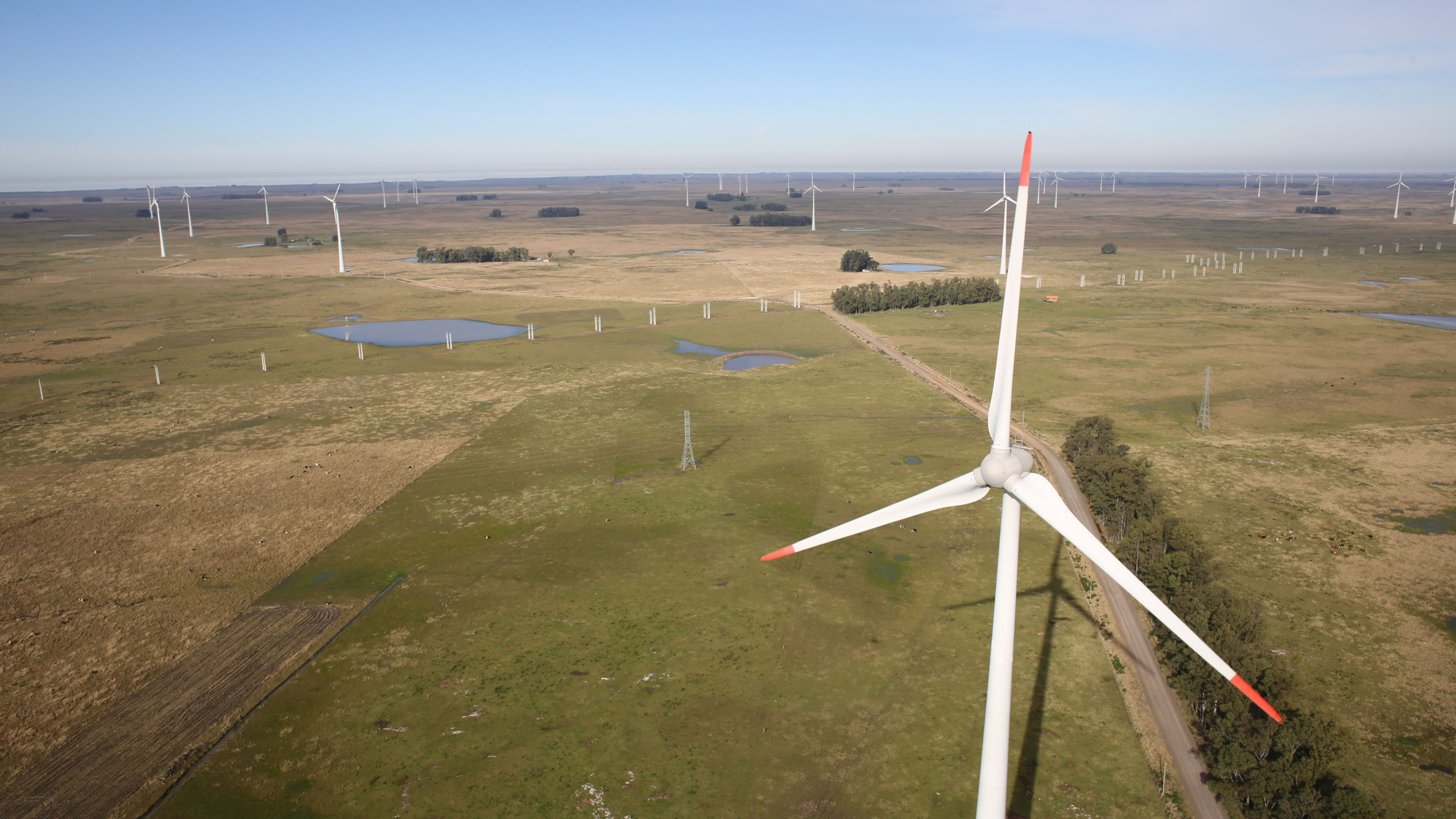 Eólicas da Enel Green Power são liberadas para operação comercial no PI