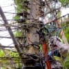 Ligações clandestinas de energia causam perdas de 34% em 2024 na Light e Amazonas Energia. Foto: Amazonas Energia