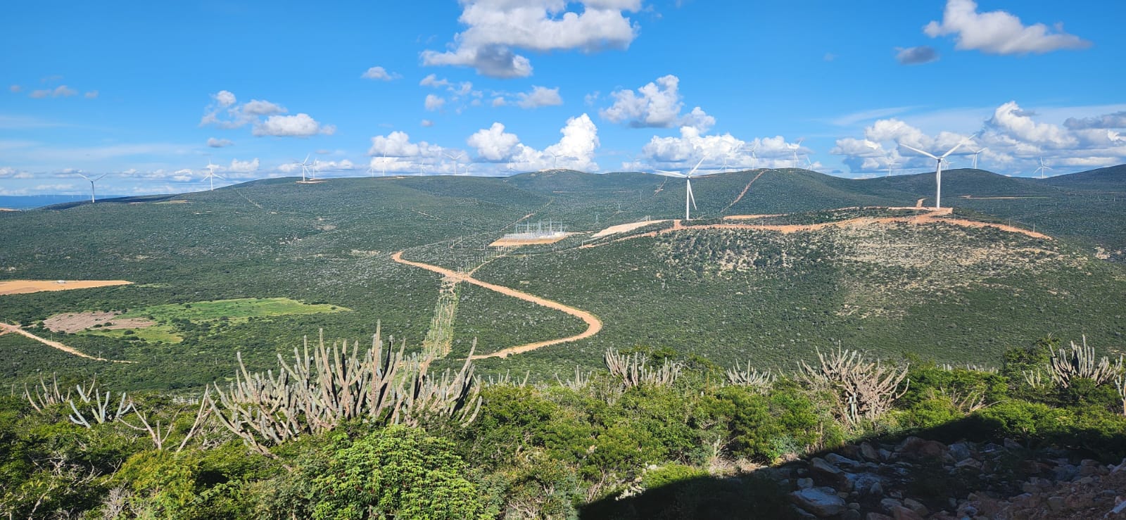 Com investimento de R$ 2,1 bi em complexo eólico na Bahia, Enel toma risco de venda da energia