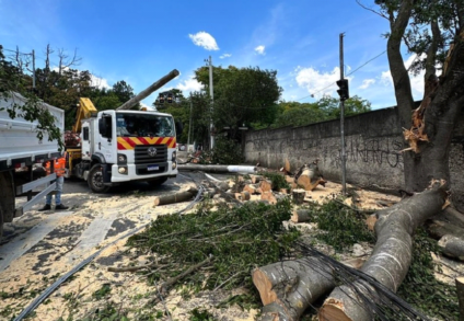 Uma semana após chuvas, Enel conclui restabelecimento de energia em São Paulo