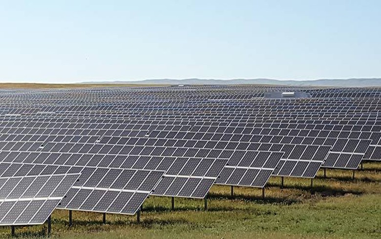 BRF anuncia parceria com a Pontoon para construção de parque solar de 320 MW no Ceará
