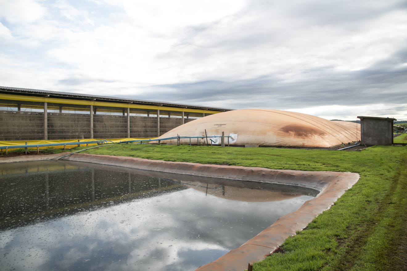 MS quer incentivar instalação de biodigestores; potencial é de 70,8 milhões de kW/ano MS quer incentivar instalação de biodigestores; potencial é de 70,8 milhões de kW/ano