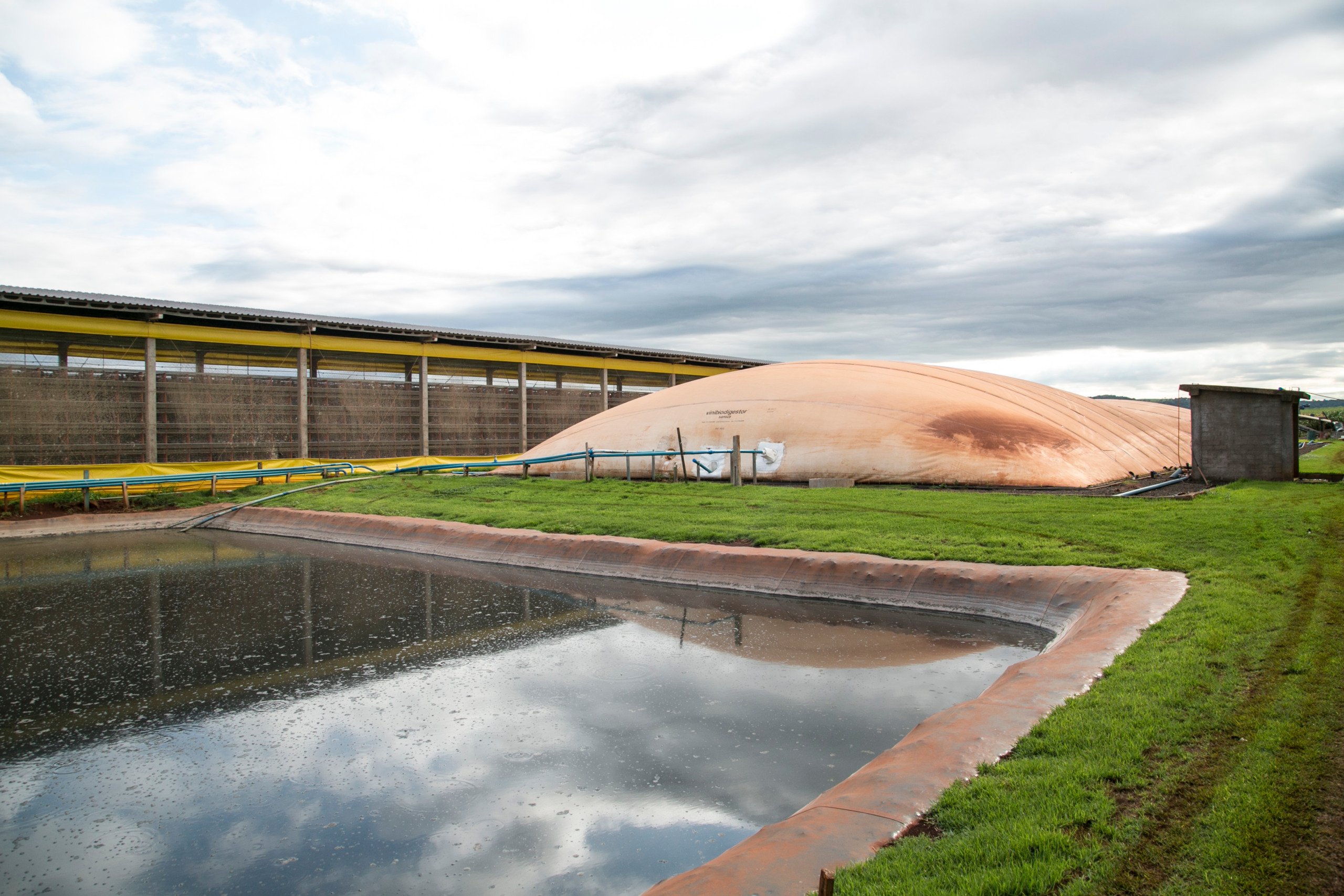 Tupy expande participação no setor de biocombustíveis e anuncia novo acordo de R$ 9 milhões