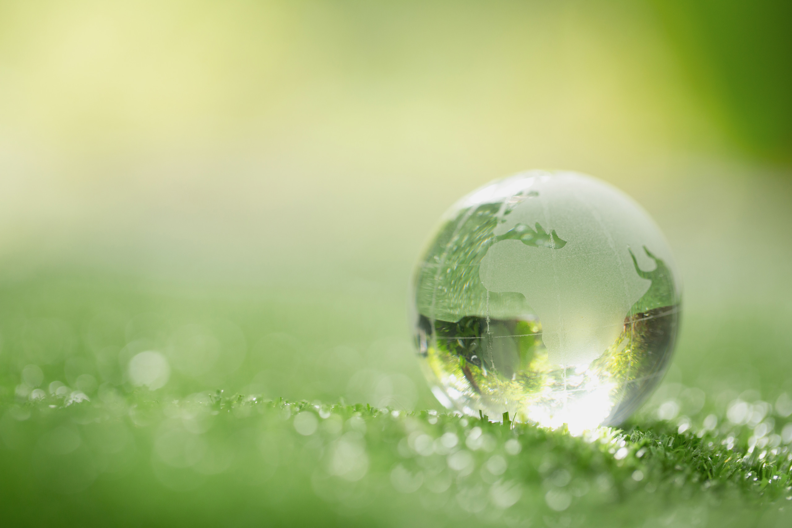 Close up of crystal globe resting on grass in a forest – environment concept