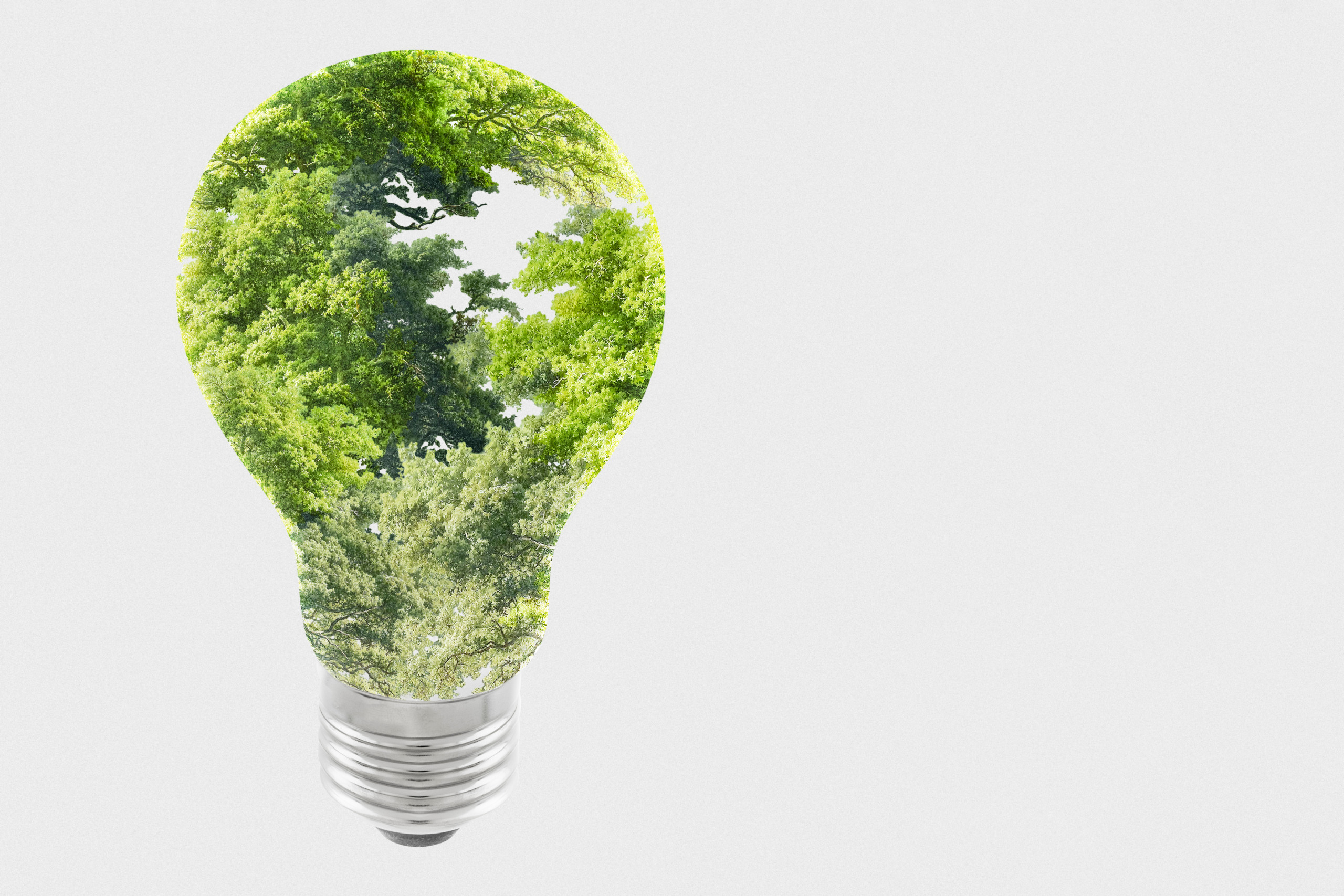 Sustainable energy campaign tree light bulb media remix