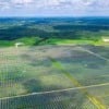 Usina Solar da Atlas (Divulgação)