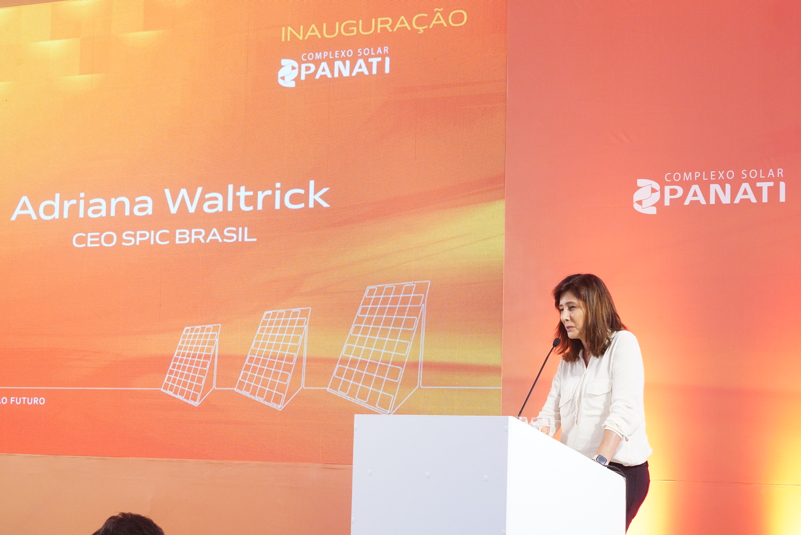 Adriana Waltrick, CEO da Spic Brasil