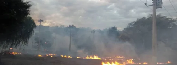 Queimadas: setor elétrico em alerta / Crédito: Cemig