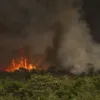 Incêndios no Brasil - Crédito Foto Marcelo Camargo (Agência Brasil)