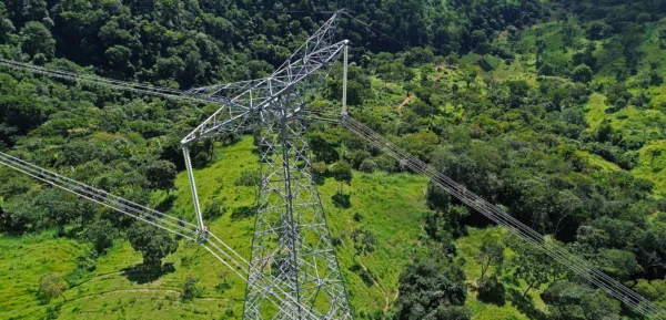 Transmissão Eletrobras e CelgPar