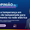 Alexei Vivan é diretor-presidente da Associação Brasileira de Companhias de Energia Elétrica (ABCE). Divulgação MegaWhat