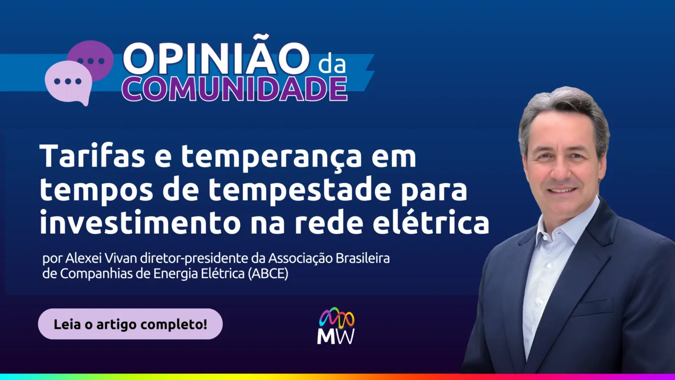 Alexei Vivan é diretor-presidente da Associação Brasileira de Companhias de Energia Elétrica (ABCE). Divulgação MegaWhat