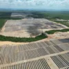 Solares do projeto Dunamis - parceria entre Raízen e Mercedes