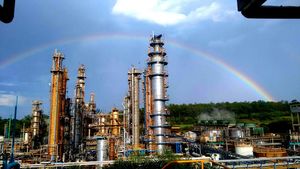 unidade industrial da Rhodia em Paulínia (SP) - Divulgação
