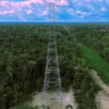 Imagem da linha de transmissao Manaus Boa Vista, conhecida como Linhão do Tucurui