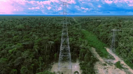 Imagem da linha de transmissao Manaus Boa Vista, conhecida como Linhão do Tucurui