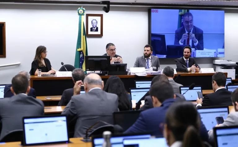 Comissão da Câmara em audiência sobre inversão de fluxo. Foto: Vinicius Loures/Câmara dos Deputados