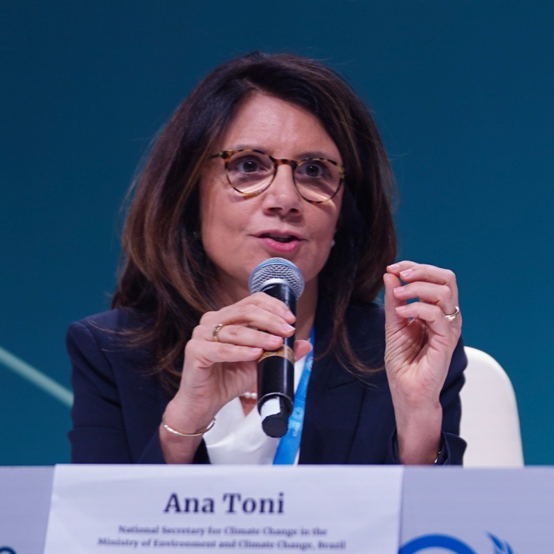 Ana Toni (Divulgação Redes Sociais)