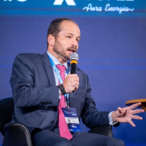 Fernando Mosna, diretor da Aneel